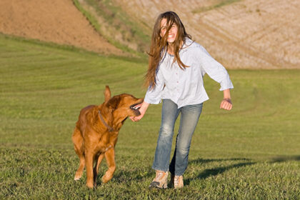 Animal Bites in Children