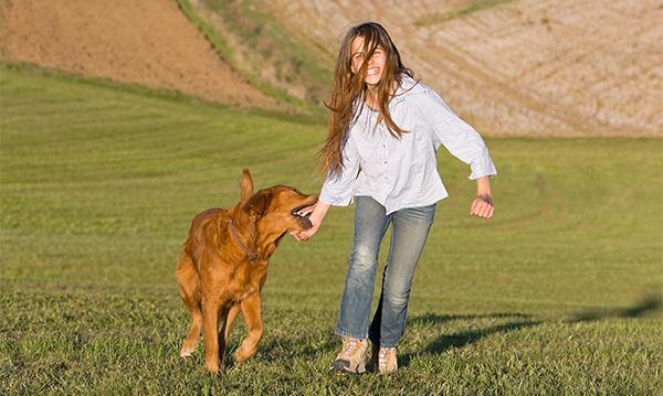 Animal Bites in Children