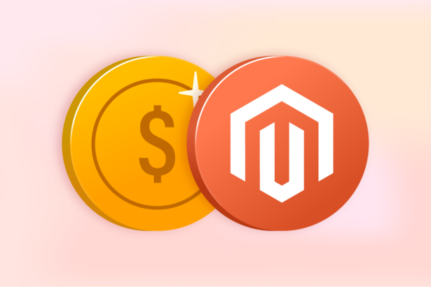 Cost Breakdown: What to Expect When You Hire Magento Developers from India